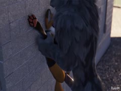 Little dog getting smashed by a big black dog xxx